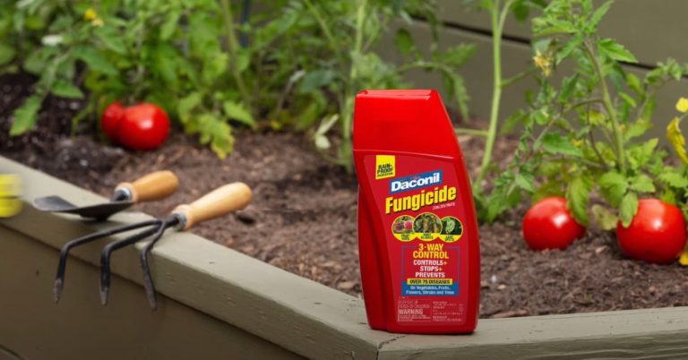 Daconil Fungicide Website - Premium Spray and Concentrate